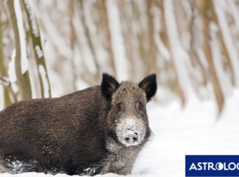 Διάβασε την προσωπική σου πρόβλεψη, για σήμερα 10/01/2026