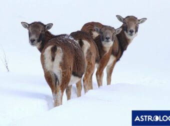 Διάβασε την προσωπική σου πρόβλεψη, για σήμερα 16/01/2026