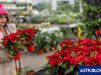 Ημερήσιες Προβλέψεις για όλα τα Ζώδια, 03/01/26: Διαχειρίσου τις προκλήσεις με ψυχραιμία