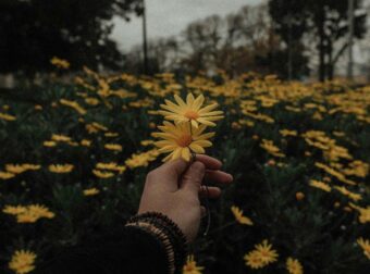 Ζώδια σήμερα 18/1: Είναι η στιγμή να ξεκινήσουμε με επενδύουμε σε όσα αξίζουν