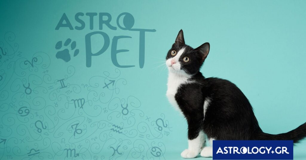 AstroPet από 06/01 έως 12/01: Εβδομαδιαίες προβλέψεις για το κατοικίδιό σου