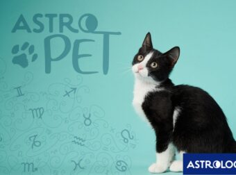 AstroPet από 06/01 έως 12/01: Εβδομαδιαίες προβλέψεις για το κατοικίδιό σου