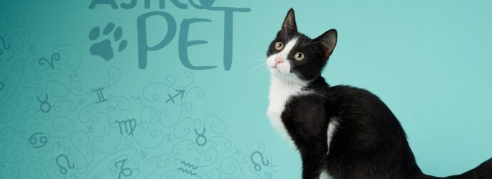 AstroPet από 06/01 έως 12/01: Εβδομαδιαίες προβλέψεις για το κατοικίδιό σου