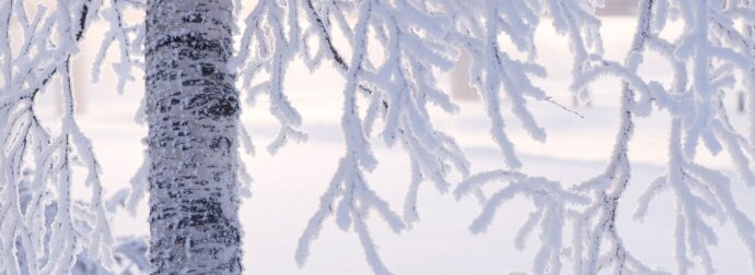 Διάβασε την προσωπική σου πρόβλεψη, για σήμερα 03/01/2026