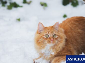 Διάβασε την προσωπική σου πρόβλεψη, για σήμερα 08/01/2026