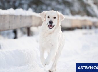 Διάβασε την προσωπική σου πρόβλεψη, για σήμερα 07/02/2026