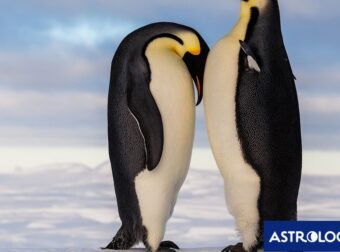 Διάβασε την προσωπική σου πρόβλεψη, για σήμερα 11/02/2026