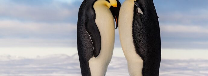 Διάβασε την προσωπική σου πρόβλεψη, για σήμερα 11/02/2026