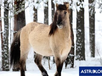 Διάβασε την προσωπική σου πρόβλεψη, για σήμερα 05/02/2026