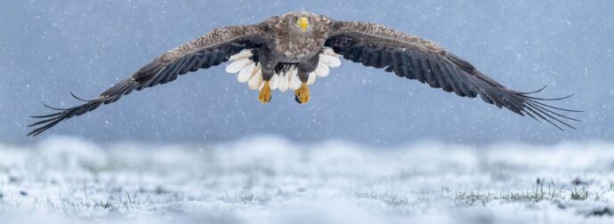 Διάβασε την προσωπική σου πρόβλεψη, για σήμερα 01/02/2026