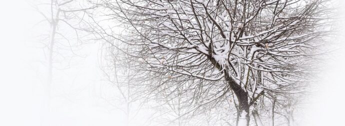 Διάβασε την προσωπική σου πρόβλεψη, για σήμερα 02/02/2026