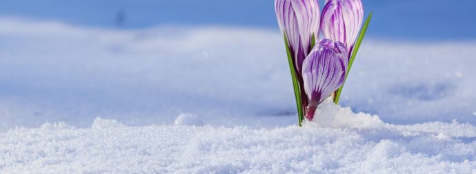 Διάβασε την προσωπική σου πρόβλεψη, για σήμερα 28/02/2026