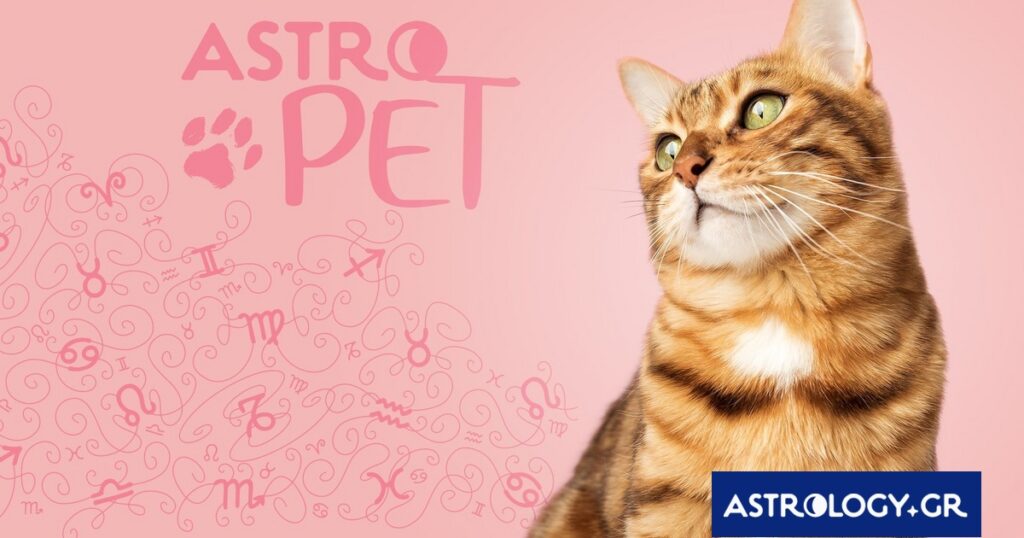 AstroPet από 24/02 έως 02/03: Εβδομαδιαίες προβλέψεις για το κατοικίδιό σου