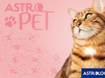 AstroPet από 24/02 έως 02/03: Εβδομαδιαίες προβλέψεις για το κατοικίδιό σου