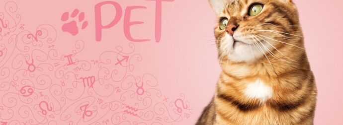 AstroPet από 24/02 έως 02/03: Εβδομαδιαίες προβλέψεις για το κατοικίδιό σου