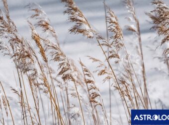 Διάβασε την προσωπική σου πρόβλεψη, για σήμερα 16/02/2026