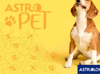 AstroPet από 03/02 έως 09/02: Εβδομαδιαίες προβλέψεις για το κατοικίδιό σου