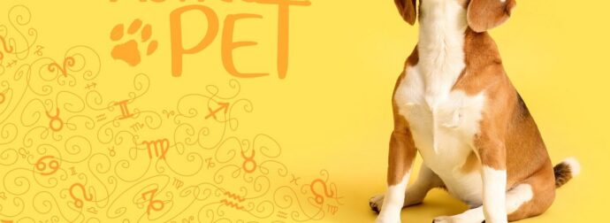 AstroPet από 03/02 έως 09/02: Εβδομαδιαίες προβλέψεις για το κατοικίδιό σου