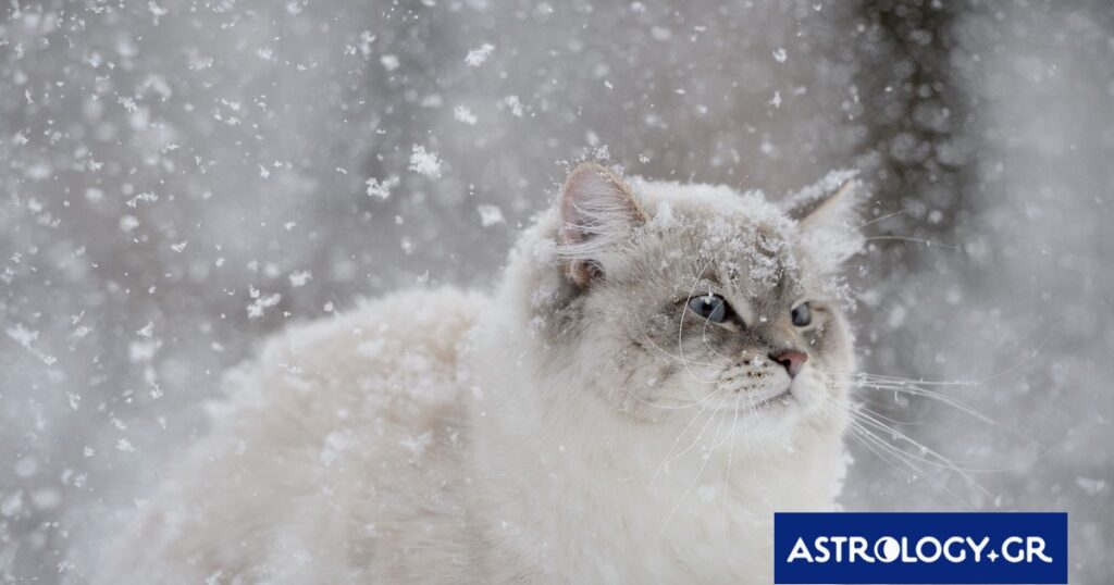 Διάβασε την προσωπική σου πρόβλεψη, για σήμερα 27/02/2026