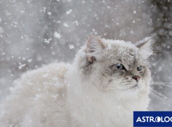 Διάβασε την προσωπική σου πρόβλεψη, για σήμερα 27/02/2026