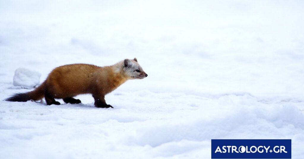 Διάβασε την προσωπική σου πρόβλεψη, για σήμερα 15/02/2026