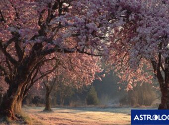 Ζώδια Σήμερα 01/02: Αντιδράσεις και ξεσπάσματα