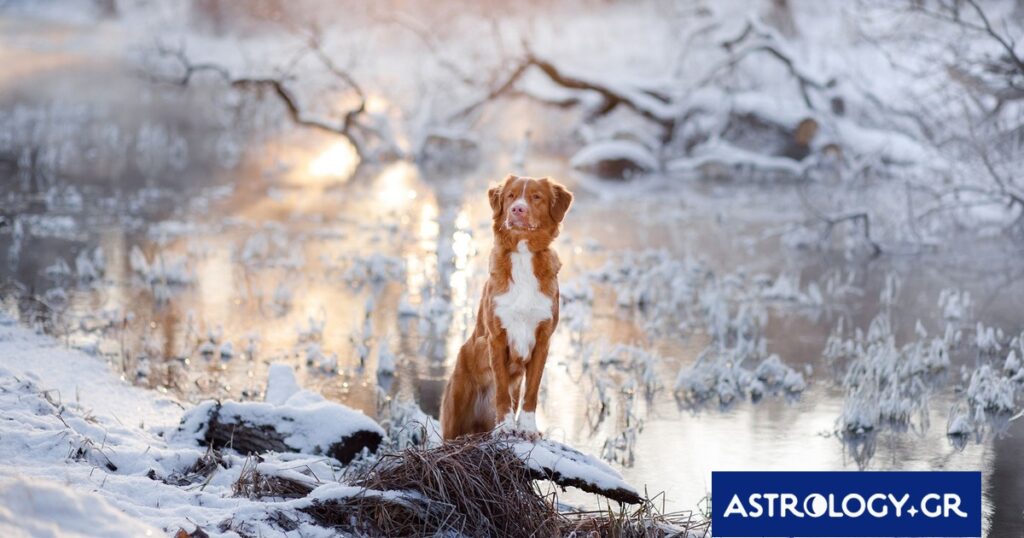 Διάβασε την προσωπική σου πρόβλεψη, για σήμερα 25/02/2026