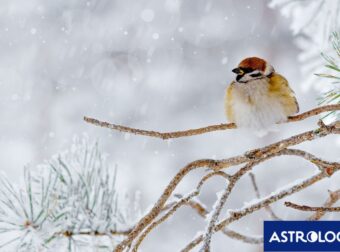 Διάβασε την προσωπική σου πρόβλεψη, για σήμερα 09/02/2026