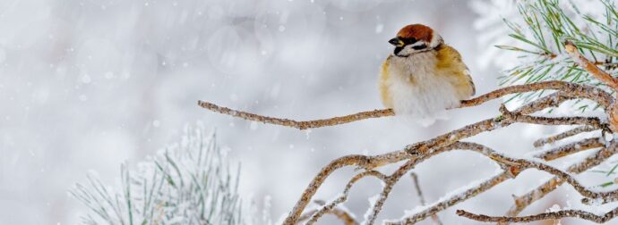 Διάβασε την προσωπική σου πρόβλεψη, για σήμερα 09/02/2026