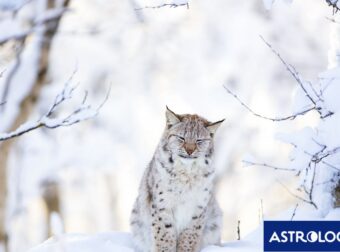 Διάβασε την προσωπική σου πρόβλεψη, για σήμερα 03/02/2026