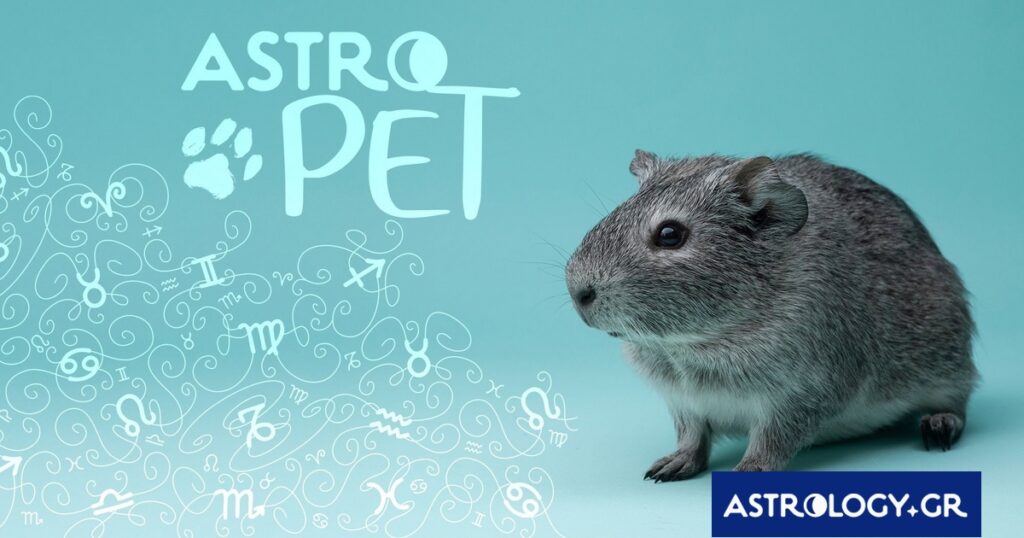 AstroPet από 10/02 έως 16/02: Εβδομαδιαίες προβλέψεις για το κατοικίδιό σου