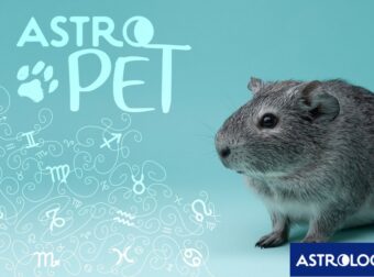 AstroPet από 10/02 έως 16/02: Εβδομαδιαίες προβλέψεις για το κατοικίδιό σου