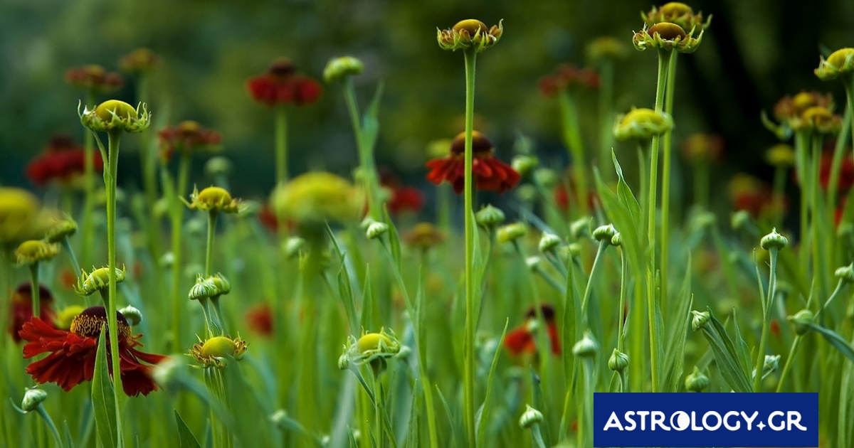 Διάβασε την προσωπική σου πρόβλεψη, για σήμερα 27/03/2026