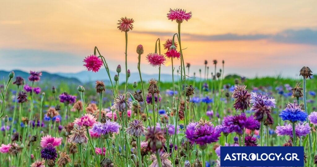 Διάβασε την προσωπική σου πρόβλεψη, για σήμερα 07/03/2026