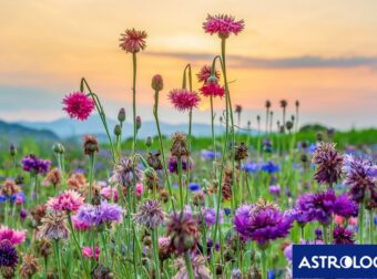 Διάβασε την προσωπική σου πρόβλεψη, για σήμερα 07/03/2026