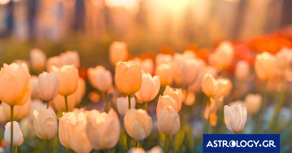 Διάβασε την προσωπική σου πρόβλεψη, για σήμερα 11/03/2026