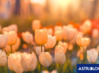 Διάβασε την προσωπική σου πρόβλεψη, για σήμερα 11/03/2026