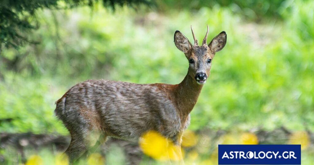 Διάβασε την προσωπική σου πρόβλεψη, για σήμερα 02/03/2026