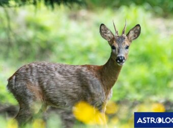 Διάβασε την προσωπική σου πρόβλεψη, για σήμερα 02/03/2026