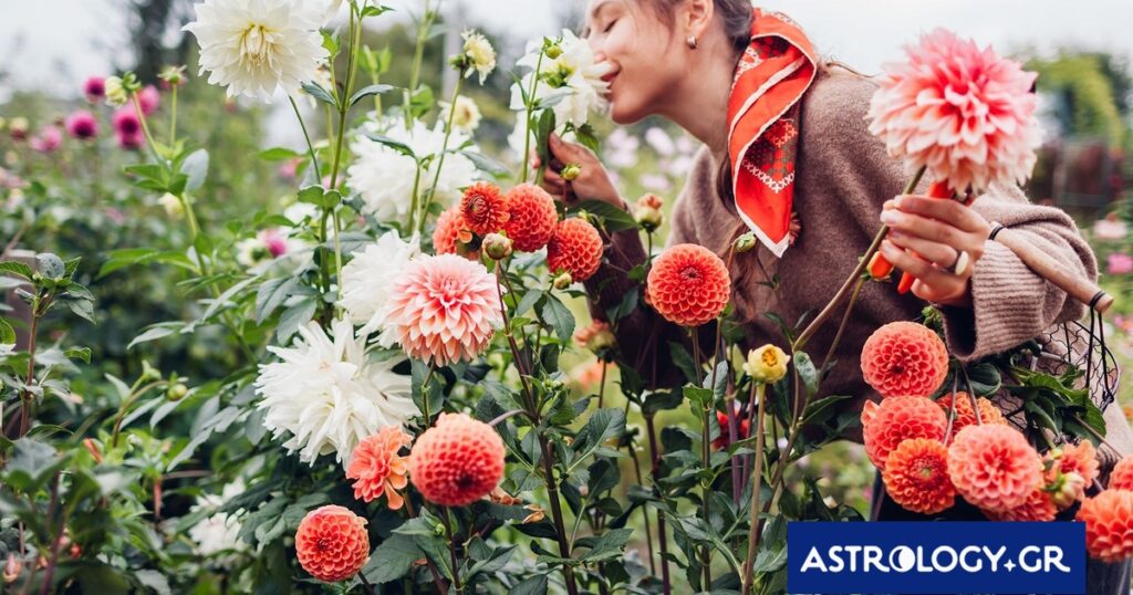 Ημερήσιες Προβλέψεις για όλα τα Ζώδια, 19/03/26: Ένας νέος κύκλος αρχίζει