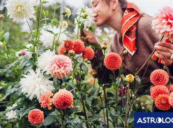 Ημερήσιες Προβλέψεις για όλα τα Ζώδια, 19/03/26: Ένας νέος κύκλος αρχίζει