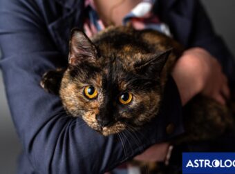 Τα φιλόζωα ζώδια που θα άνοιγαν το σπίτι τους για να φιλοξενήσουν αδέσποτα