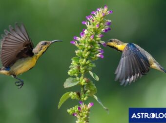 Διάβασε την προσωπική σου πρόβλεψη, για σήμερα 06/03/2026