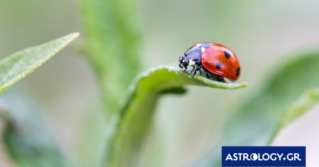 Διάβασε την προσωπική σου πρόβλεψη, για σήμερα 04/03/2026