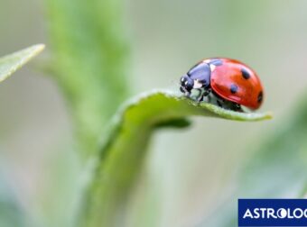 Διάβασε την προσωπική σου πρόβλεψη, για σήμερα 04/03/2026