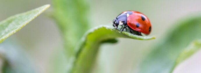 Διάβασε την προσωπική σου πρόβλεψη, για σήμερα 04/03/2026