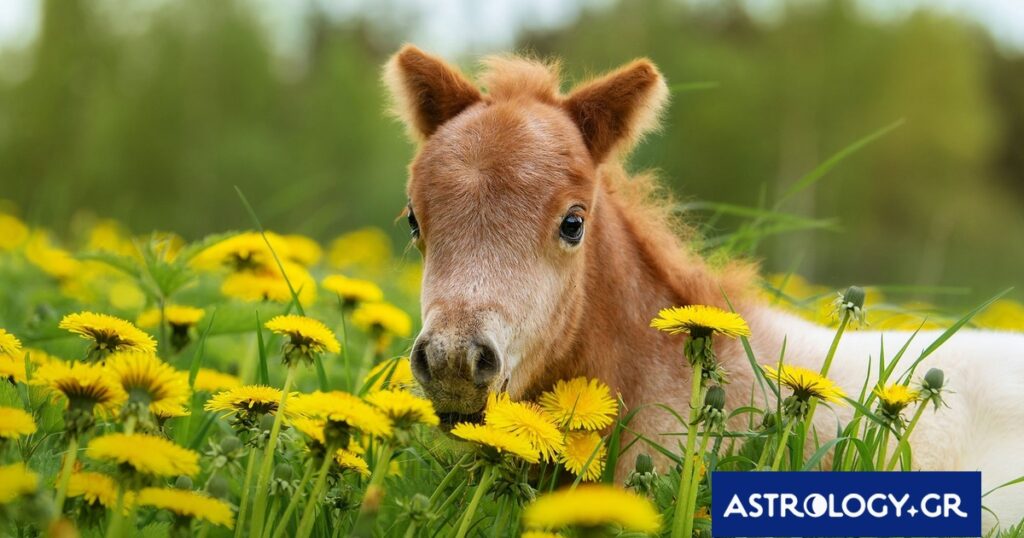 Διάβασε την προσωπική σου πρόβλεψη, για σήμερα 26/03/2026