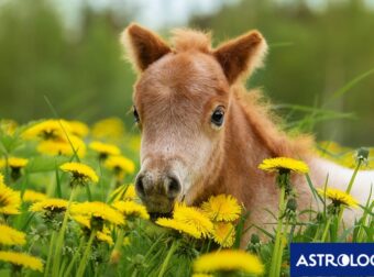 Διάβασε την προσωπική σου πρόβλεψη, για σήμερα 26/03/2026