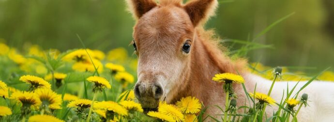 Διάβασε την προσωπική σου πρόβλεψη, για σήμερα 26/03/2026