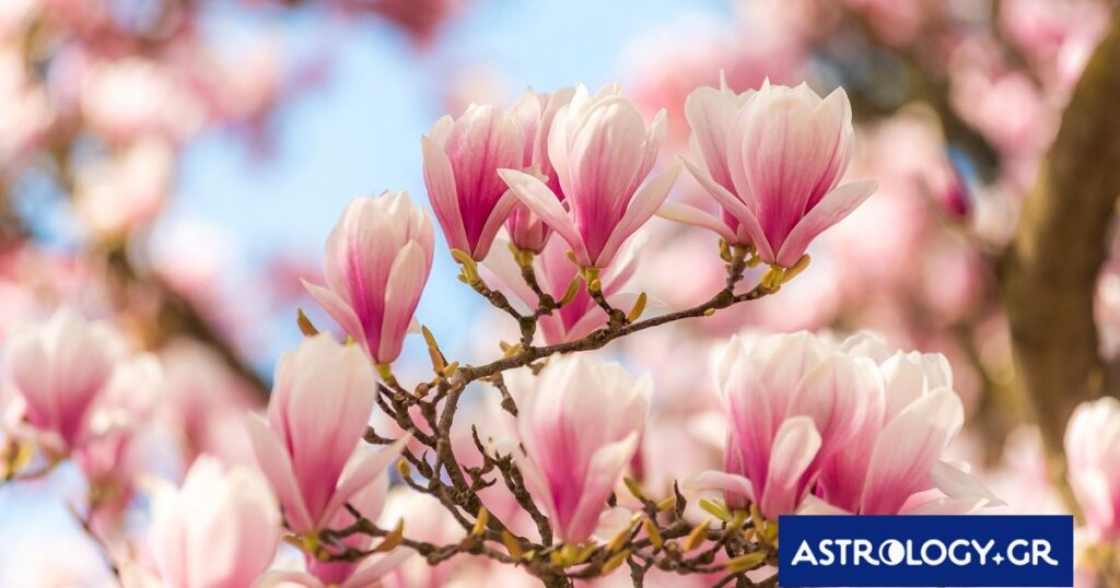 Διάβασε την προσωπική σου πρόβλεψη, για σήμερα 19/03/2026